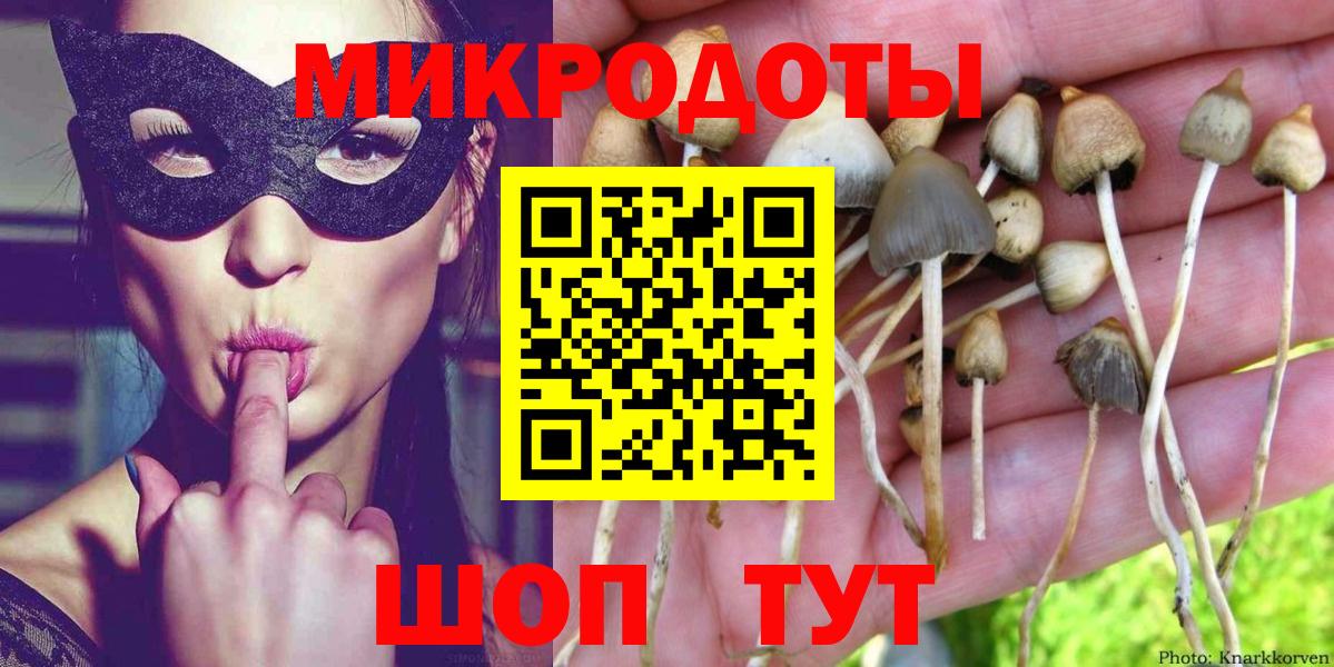 Галлюциногенные грибы Cubensis  Вход с VPN  Барнаул 